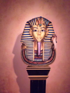 SH3D0118.jpg